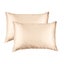 Silk Pillow Case Twin Pack Size: 51X76cm Champagne Pink Carousel 1