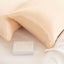 Silk Pillow Case Twin Pack Size: 51X76cm Champagne Pink Carousel 5