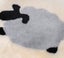 AUSTRALIAN SHEPHERD(R) Square Australian Sheepskin Wool Cushion Carousel 14