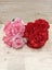 Open Rose Bush Carousel 1