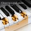 88 Keys Digital Foldable Keyboard Piano Carousel 5