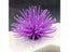 1pc Realistic Artificial Sea Urchin For Stunning Aquarium Landscapes And Carousel 3
