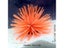 1pc Realistic Artificial Sea Urchin For Stunning Aquarium Landscapes And Carousel 5