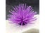 1pc Realistic Artificial Sea Urchin For Stunning Aquarium Landscapes And Carousel 8