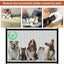 Pet Barrier Fence Portable Breathable Mesh Stairs Kitchen Entrance Indoor Gate Carousel 5