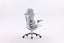 Sihoo A3 DORO C300 PRO Ergonomic Chair Light Grey Carousel 11