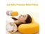 Memory Foam Pillow Solid Color Small Cushion Cat Belly Feeling For Sleeping Carousel 3
