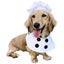 Dog Chef Costume Hat Set Pet Clothing Porch Goose Halloween Cosplay Carousel 5