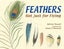 Feathers by Melissa Stewart - Paperback Carousel 1