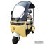 Covered Electric Tricycle TM7+ Plus Mobility, golf cart, Red or Yellow Carousel 8