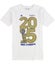 Adidas Boys Golden State Warriors 2015 NBA Finals Champs Graphic T-Shirt Carousel 1