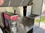 Coffee Cart and Ice Cream Trailer Carousel 8