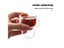 MHW-3BOMBER Double Wall Glass Espresso Cups Anti-scald Reusable Tea Mug Shot Carousel 3