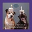 Sookie and Ivy Every Day Is a Celebration By Jani Oja ISBN 9781497105270 Carousel 1