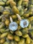 Aquamarine Earrings in 18ct Yellow Gold Plate Carousel 17