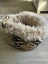 Cat bed luxury Carousel 1