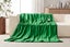 Kogan Washable Electric Heated Throw Blanket (Green, 200 x 180cm) Carousel 3