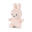 Lucky Miffy Sitting in Giftbox Carousel 3