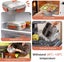 Lunch Bento Box With 3 Compartments Lunch Box With Cutlery Set Food Containers Carousel 5