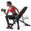 Weight Bench - (NZ Clearance) Carousel 8