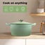 Toque Cast Iron Dutch Oven Frying Pan Enamel Casserole Pot with Lid 4L Green Carousel 7