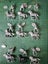 28mm Foundry LIR Cavalry X 15 Carousel 3