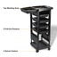 6 Tier Hair Salon Trolley Spa Tool Rolling Storage Cart Carousel 7