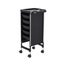 6 Tier Hair Salon Trolley Pull Out Trays Tool Storage Cart Carousel 9