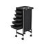 6 Tier Hair Salon Trolley Pull Out Trays Tool Storage Cart Carousel 10