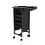 6 Tier Hair Salon Trolley Pull Out Trays Tool Storage Cart Carousel 11