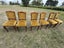 Walnut Dining Chairs x 8 Carousel 8