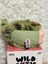 POP MART-CRY BABY-WILD BUT CUTIE : CAMO CUTIE-BRAND NEW! Carousel 4