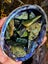 $1 RESERVE - NZ Pounamu / Greenstone Tumbled Carving Lot + Paua Shell (431g) Carousel 4