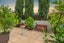gallery view thumbnail