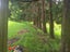gallery view thumbnail