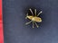 Collectable 1930s Vintage Insect Brooch - Art Deco - Czech - Blue glass Spider. Carousel 6