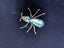 Collectable 1930s Vintage Insect Brooch - Art Deco - Czech - Blue glass Spider. Carousel 4