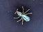 Collectable 1930s Vintage Insect Brooch - Art Deco - Czech - Blue glass Spider. Carousel 1