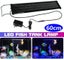 Fish Tank Aquarium Light NZ Clearance Carousel 3
