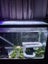 New aquarium lights led 60cm Carousel 1