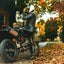 gallery view thumbnail