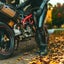 gallery view thumbnail