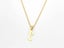 Trendy Gold-Plated Titanium Steel Necklace Carousel 1