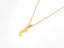 Trendy Gold-Plated Titanium Steel Necklace Carousel 2