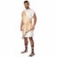 Greek God Olympus Caesar Roman Ancient Gold Toga Party Adult Mens Costume Carousel 1