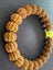 10mm Rudraksha Seeds bracelet with matching Baltic Amber Carousel 3