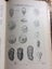 HANDBOOK OF NZ MICROFOSSILS ** 1968 ** HARDCOVER Carousel 4