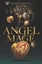 Angel Mage by Garth Nix - Paperback Carousel 1