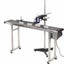 In-Line Label Printing Conveyor Belt with Inkjet Date Coder Carousel 5