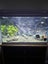 70 L Fish Tank - Ecostyle 61 - Aqua One Carousel 1